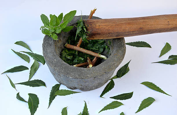 Making Herbal Medicine of Neem and Tulsi (Holy Basil) Using Mortar and Pestle.