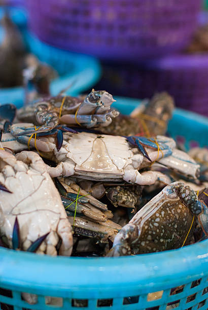 istock Horse crab in market 181488842