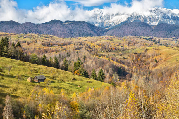 istock Piatra Craiului mountains view 1814897731