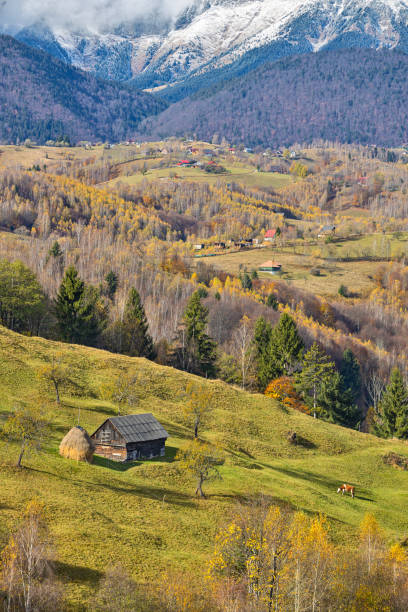 istock Piatra Craiului mountains view 1814897785