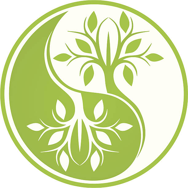 зеркало дерево - yin yang symbol taoism herbal medicine symbol stock illustrations