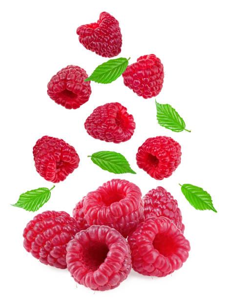 istock flying ripe raspberries with green leaves isolated on white background. clipping path 1814906320