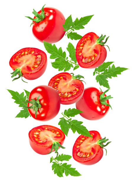 istock flying tomatoes with green leaves isolated on white background. clipping path. 1814906360