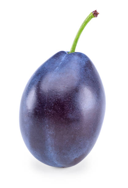 istock fresh plum fruit isolated on white background. clipping path 1814907465