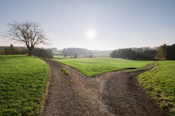istock Road through green pastures and trees, fork in the road 1814914758