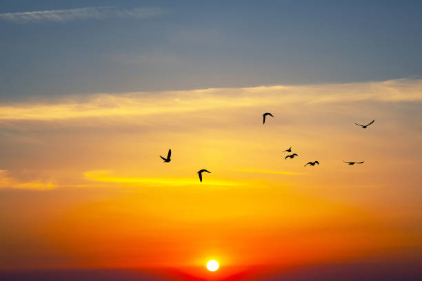 istock brightly colorful clouds in the evening sky. Lush colored clouds in the sky before sunset. dawn in the clouds 1814918668