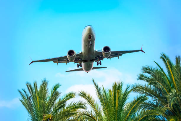 istock passenger plane flies over palm trees. air transport industry 1814923539