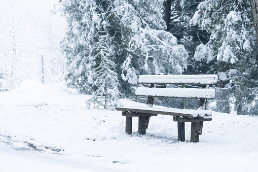 Snow covered wooden bench in a winter park.