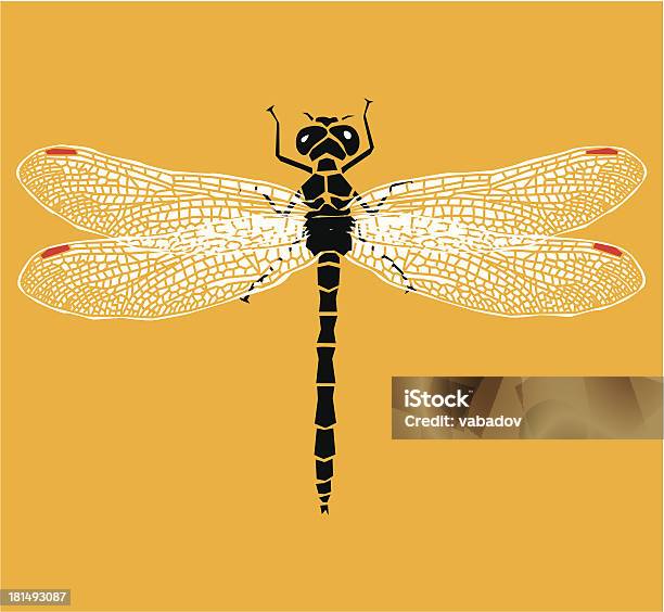 Vetores de Vetor Dragonfly e mais imagens de Libélula - Mosca - Libélula - Mosca, Abstrato, Amarelo