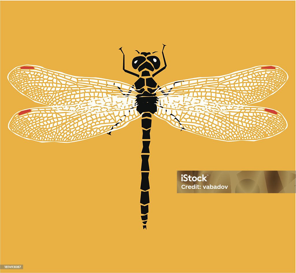 Вектор dragonfly - Векторная графика Разнокрылые стрекозы роялти-фри