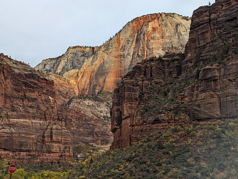 Mountain rising behind Weeping Rock along the Virgin River in Zion National Park Utah on the Scenic Drive and autumn colors