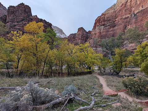 Trail to the Virgin River in Zion National Park Utah on the Scenic Drive near Weeping Rock and autumn colors