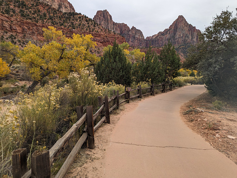 The Watchman Peak in autumn as seen from the Pah'rus Trail in Zion National Park Utah