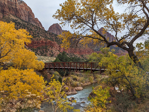 Serene view of the Virgin River and wet rocks on the narrows trail in Zion National Park’s narrows trail