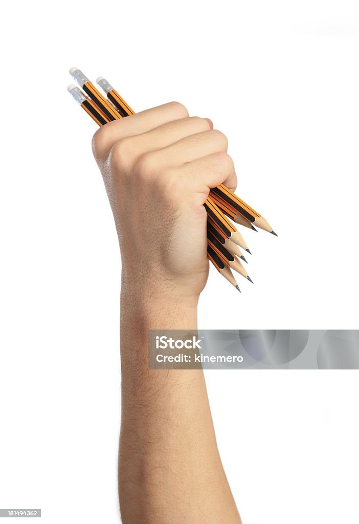 Fist with pencils Fist with group of pencils, on white background. Close-up Stock Photo