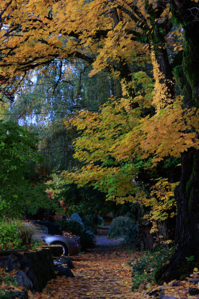 istock Fall Colors in Portland, Oregon 1814952005