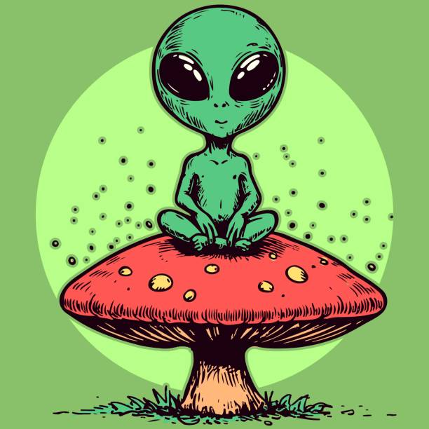 Cartoon character of a meditating alien sitting on top of a trippy psychedelic mushroom. Green humanoid on a fungus doing yoga Cartoon character of a meditating alien sitting on top of a trippy psychedelic mushroom. Green humanoid on a fungus doing yoga alien grey stock illustrations