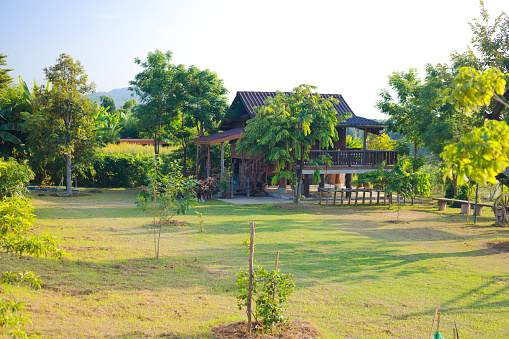 Wooden thai house in landscape at Mekong river in Chiang Khong, Chiang Rai province.