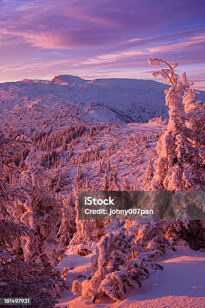 Montanha De Inverno Ao Pôr Do Sol - Fotografias de stock e mais imagens de Abeto - Abeto, Amanhecer, Anoitecer