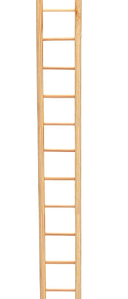 istock Wooden ladder 181498377