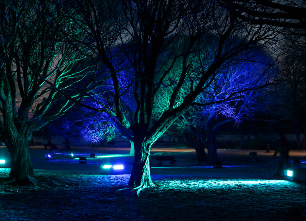 spettacolo di luci nel parco sulla riva del lago Tusul a Järvenpää, Finlandia - foto stock