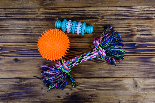 Dog toy for teeth cleaning, rope with tied knots and toy ball on wooden background. Top view