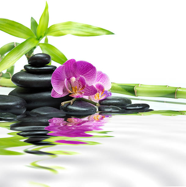 istock purple orchids with bamboo tower black stones on water 181503660