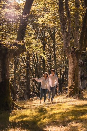 Vertical photo of a couple exploring a forest and pointing to the landscape
