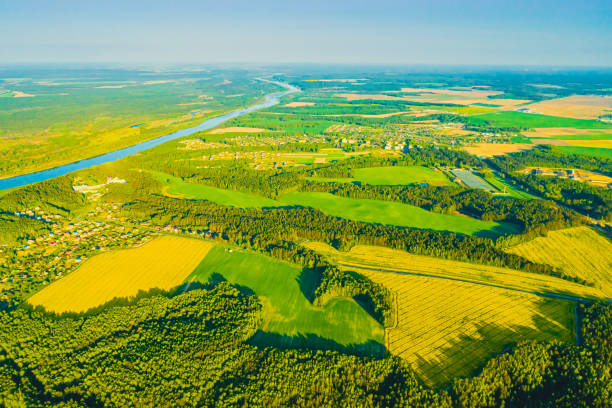 istock Sustainable resources background. Forest aerial view. Drone photography. Spring. Sustainability. 1815050480
