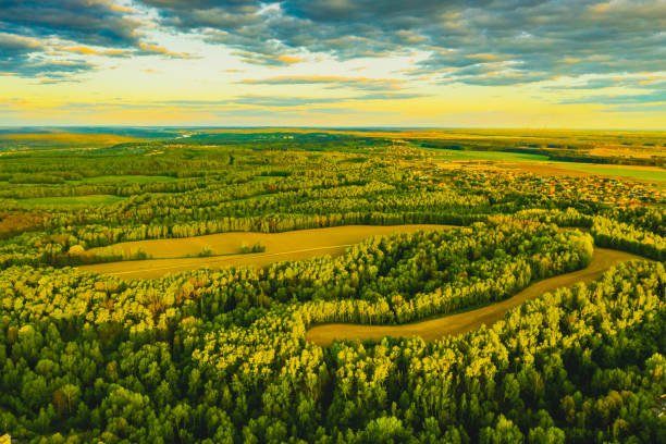 istock Sustainable resources background. Forest aerial view. Drone photography. Spring. Sustainability. 1815051665