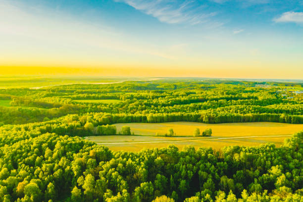 istock Sustainable resources background. Forest aerial view. Drone photography. Spring. Sustainability. 1815055798