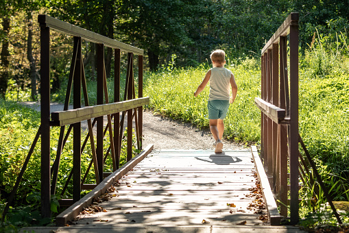 A walk in the fresh air in a sunny summer forest, a boy is photographed from behind crossing a wooden bridge.