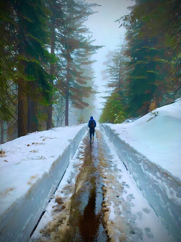 A man in a blue hoodie and black backpack is walking through a path shoveled through the snow in the forests in Sequoia National Park in California. The sky is cloudy and there is snow falling. The trees are pines and green. The reflection in visible from the melted snow.