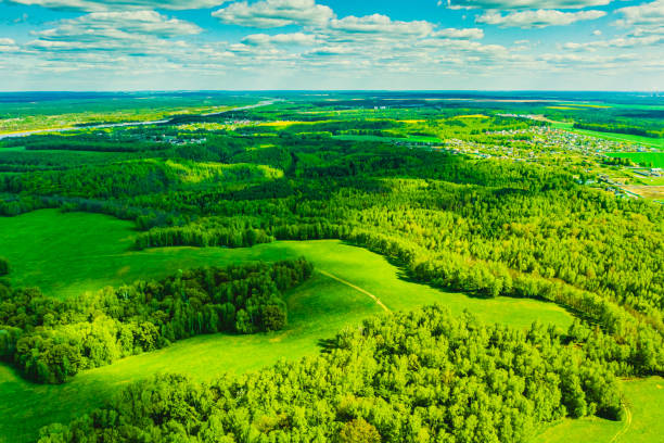 antecedentes de recursos sustentáveis. vista aérea da floresta. fotografia de drones. primavera. sustentabilidade. - rasto de fumo de avião - fotografias e filmes do acervo