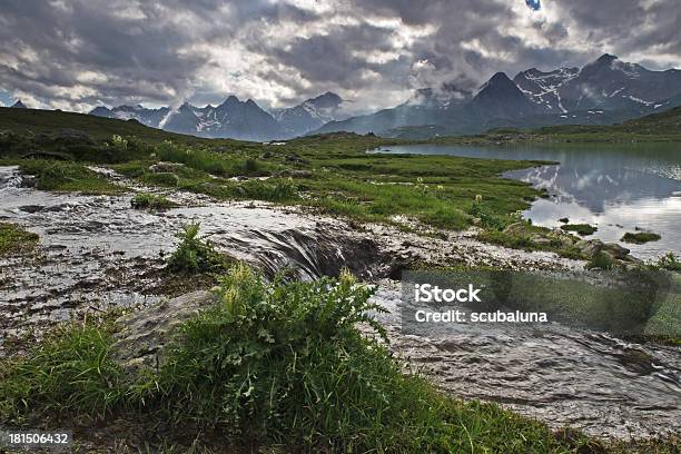 Alpine Terreno Paludoso - Fotografie stock e altre immagini di Acqua - Acqua, Acqua corrente, Acqua fluente