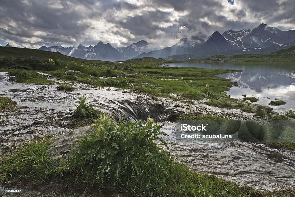 Alpine wetland (Laghi Boden/Itália) - Foto de stock de Agosto royalty-free