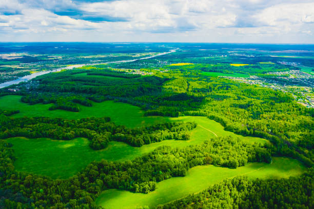 istock Sustainable resources background. Forest aerial view. Drone photography. Spring. Sustainability. 1815067764
