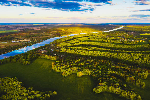 istock Sustainable resources background. Forest aerial view. Drone photography. Spring. Sustainability. 1815069375