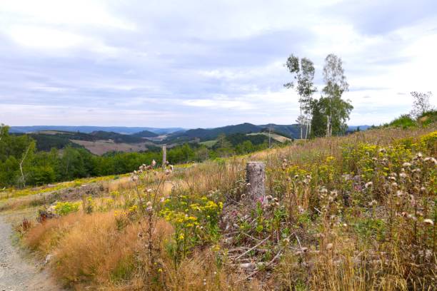 istock Beautiful summer day in the Sauerland 1815081744