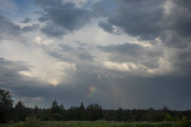 Summer landscape with rainbow. Beautiful clouds. Forest and Sky. Summer cloudiness.
