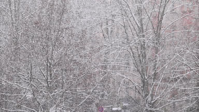 Closeup of a heavy snowstorm in the city showed in slow motion.