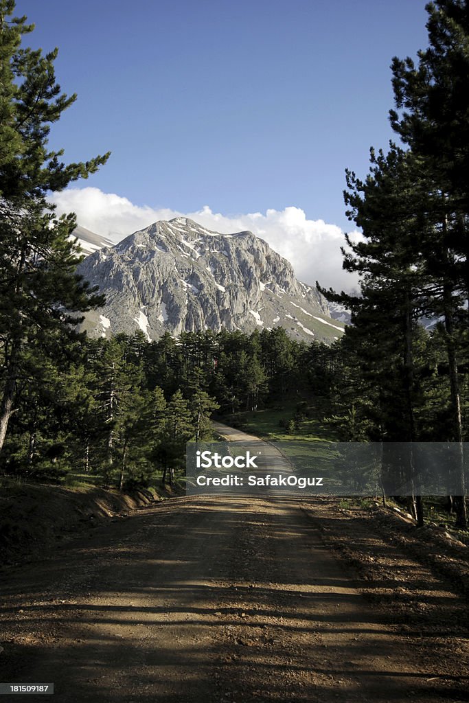 Road et la montagne - Photo de Arbre libre de droits