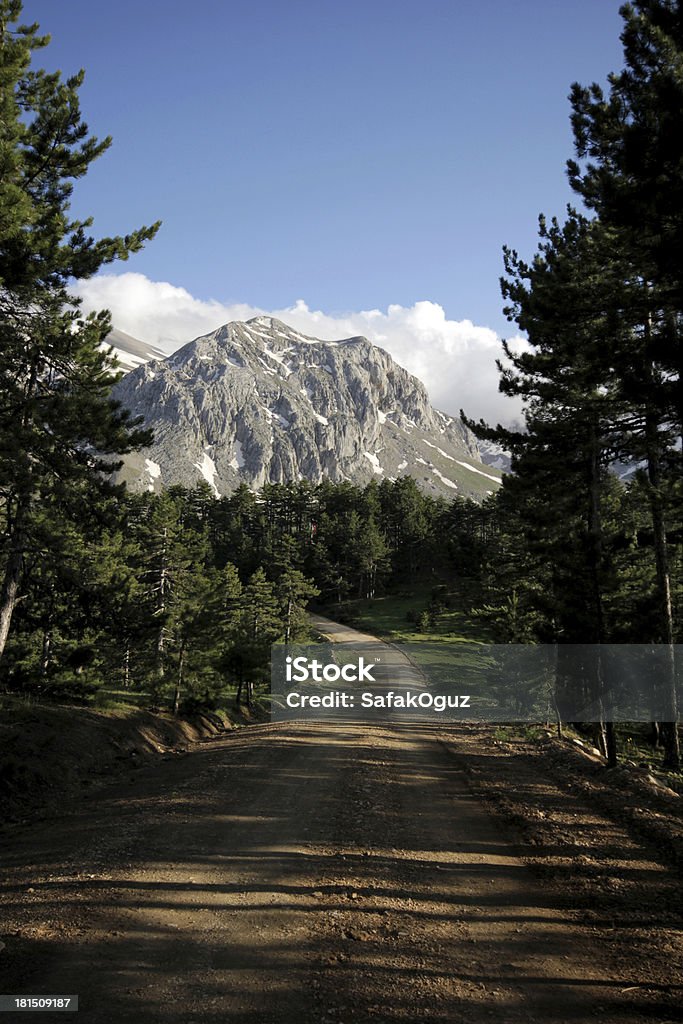 Strada e di montagna - Foto stock royalty-free di Albero