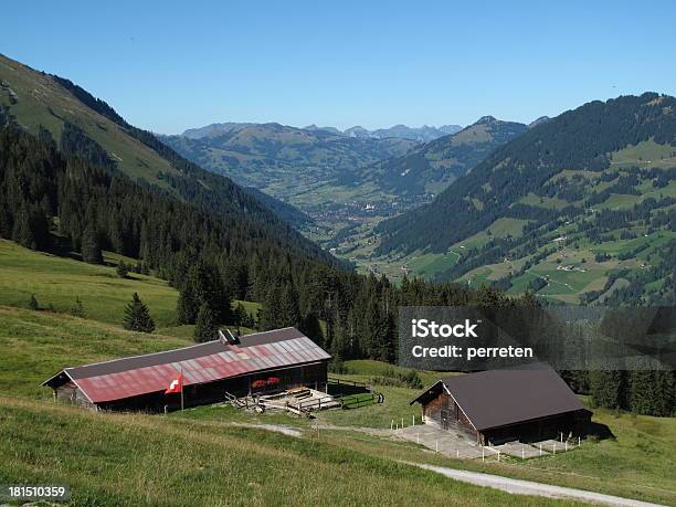 Photo libre de droit de Paysages Du Oberland Bernois Gstaad banque d'images et plus d'images libres de droit de Agriculture - Agriculture, Alpes européennes, Beauté de la nature