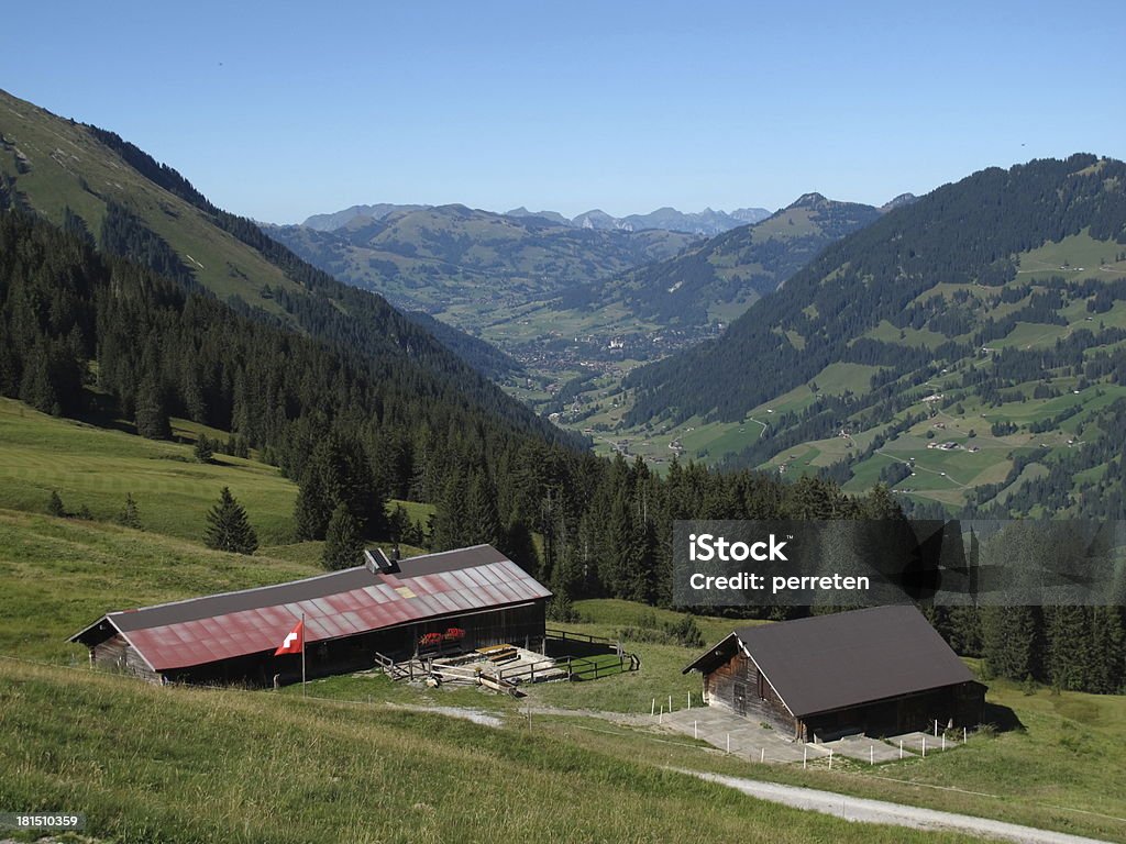 Paesaggio nelle Alpi Bernesi, il Gstaad - Foto stock royalty-free di Agricoltura