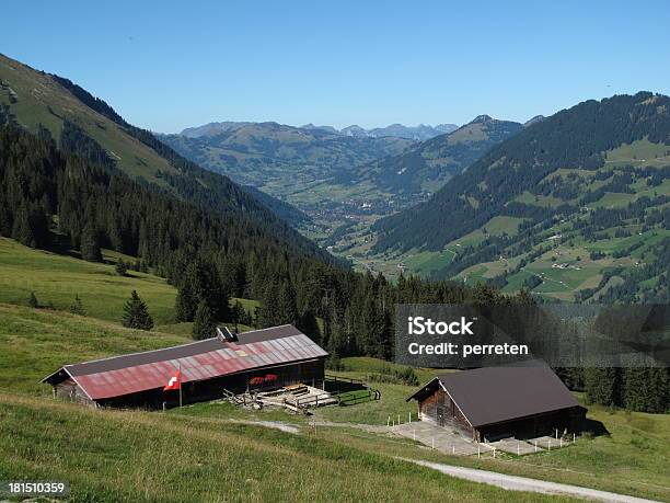 Paesaggio Nelle Alpi Bernesi Il Gstaad - Fotografie stock e altre immagini di Agricoltura - Agricoltura, Alpi, Alpi Bernesi