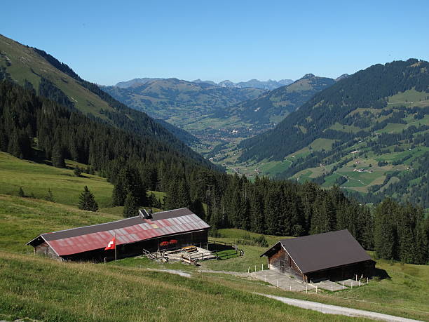 istock Scenery in the Bernese Oberland, Gstaad 181510359