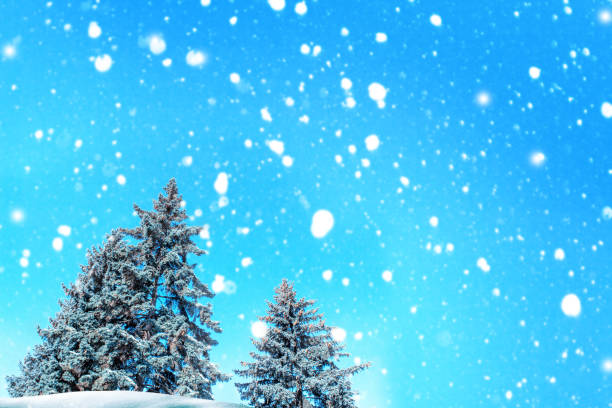istock Landscape. Frozen winter forest with snow covered trees. 1815106048