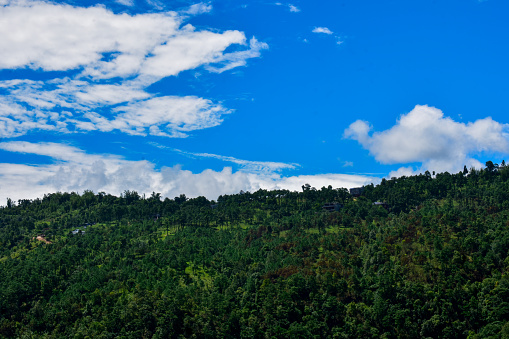 A hill covered in Jungle and clouds above.