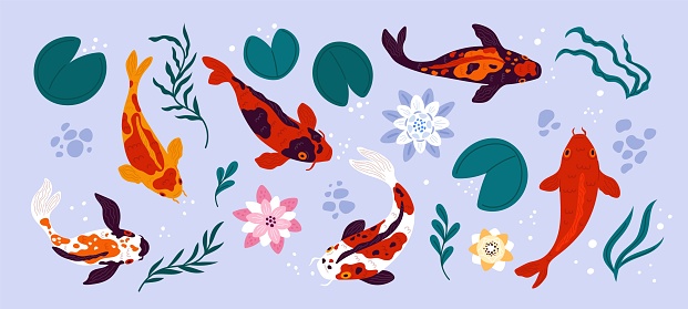 Koi fish and pond elements. Cartoon Japanese carps. Different colors. Decorative flora and fauna top view. Goldfish swimming in Chinese lake. Water lily leaves and lotus flowers. Garish vector set